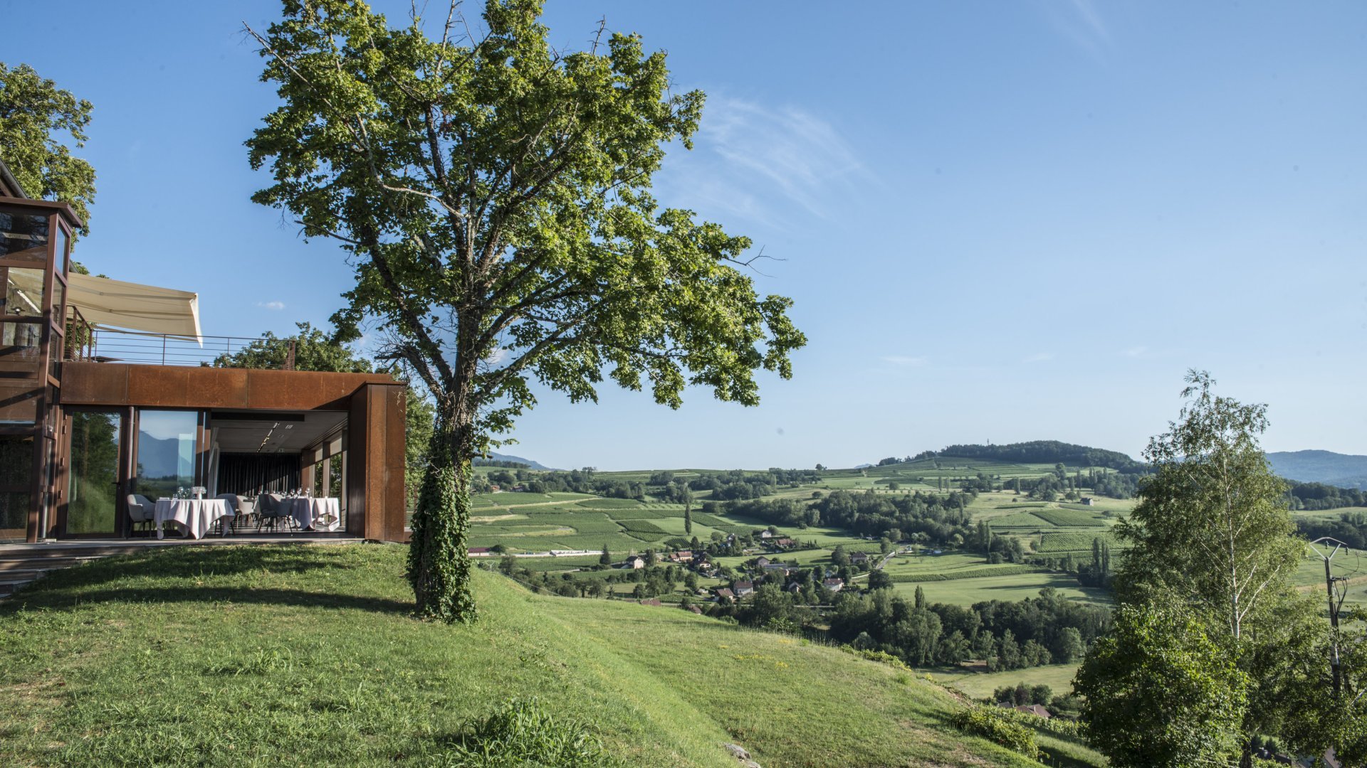 Menu « Découverte» (accord mets et vins)